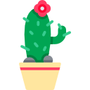 cactus icon