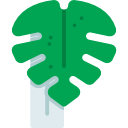 monstera icon