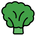 brócoli icon