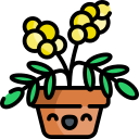 mimosa icon