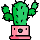 cactus icon