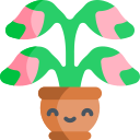 aglaonema icon