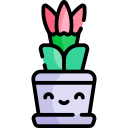 lithops icon