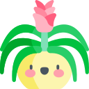 guzmania icon