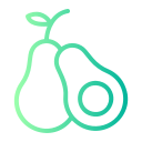 aguacate icon