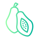 papaya icon