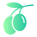 aceituna icon