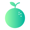 naranja icon