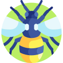 abeja icon