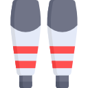 tibia 