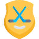 crosse de hockey 