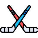 crosse de hockey 
