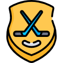 crosse de hockey 