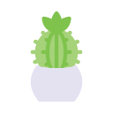 cactus icon