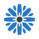 gerbera icon