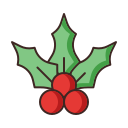 cereza icon