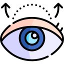 paupière 
