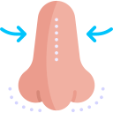 Rinoplastia icon