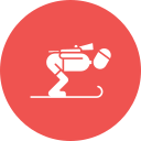 biatlón icon