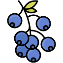 cereza icon