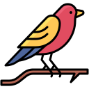 pájaro icon