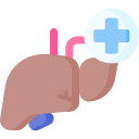 hepatologia icon