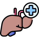 hepatologia icon