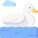 pato icon