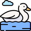 pato icon