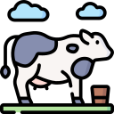 vaca 