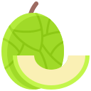 melón icon