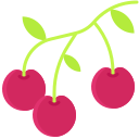 cereza icon