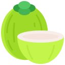 coco icon