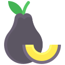 aguacate icon