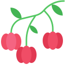 cereza de surinam icon