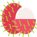 rambután icon