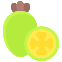 feijoa icon