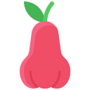 manzana rosa icon