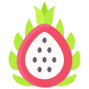 dragon de fruta icon