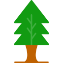 Árbol icon