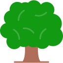 Árbol icon