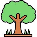 Árbol icon