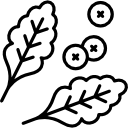 Овощи 