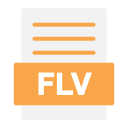 flv icon