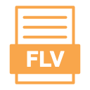 flv icon