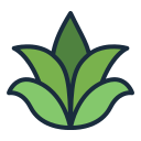 aloe vera icon