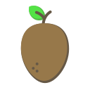 Sapodilla icon