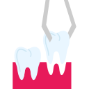 extracción dental