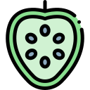 guanabana icon