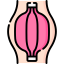 músculo icon
